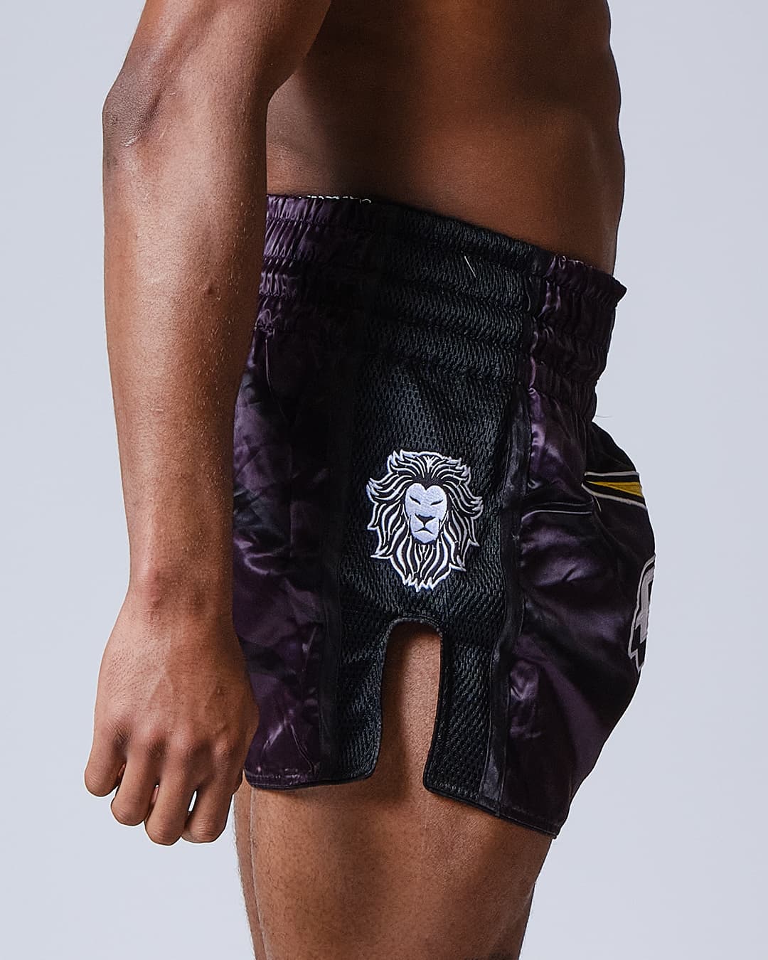 Short de Boxe Thaï ELION Raja - Noir - Image 2